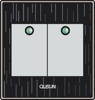 兩位單極大蹺板