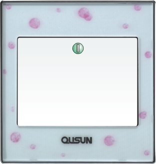 一位單極大蹺板