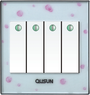 四位單極大蹺板