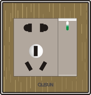 一位單極大蹺板二三極插座