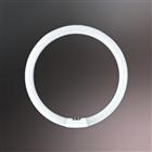 吸頂燈燈管(環(huán)型管)