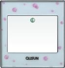 一位單極大蹺板